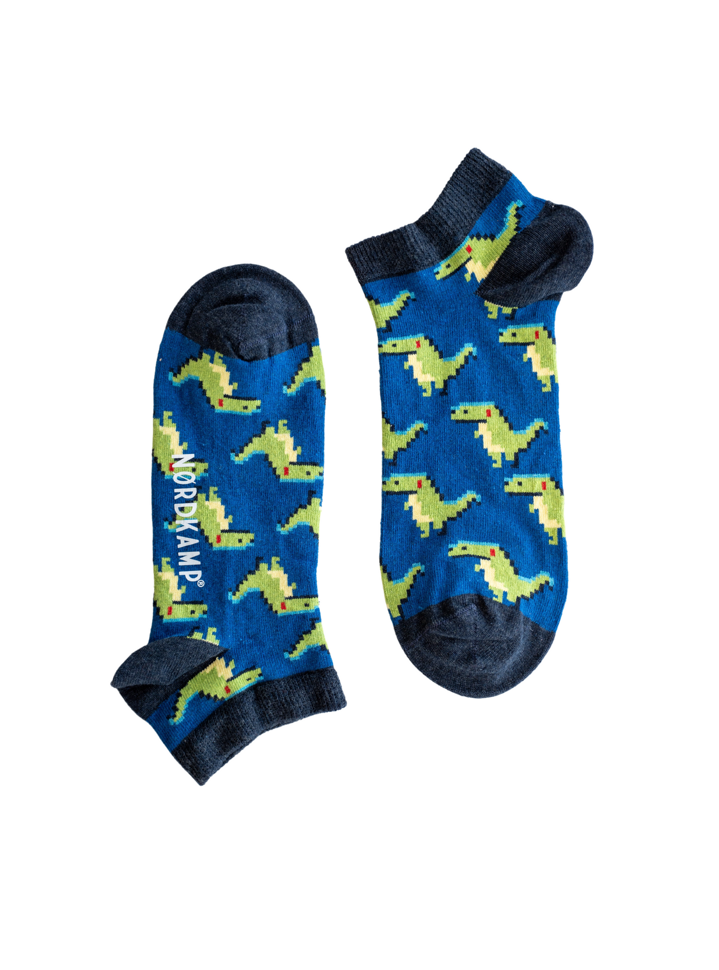 Recycled dinoszaurusz titokzokni